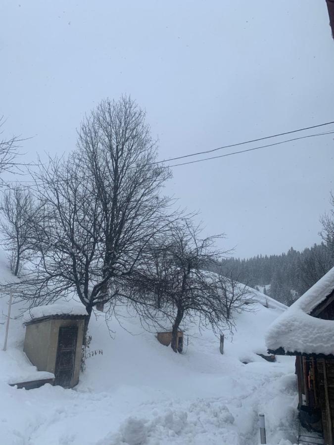 Cottage house Podobovets Esterno foto