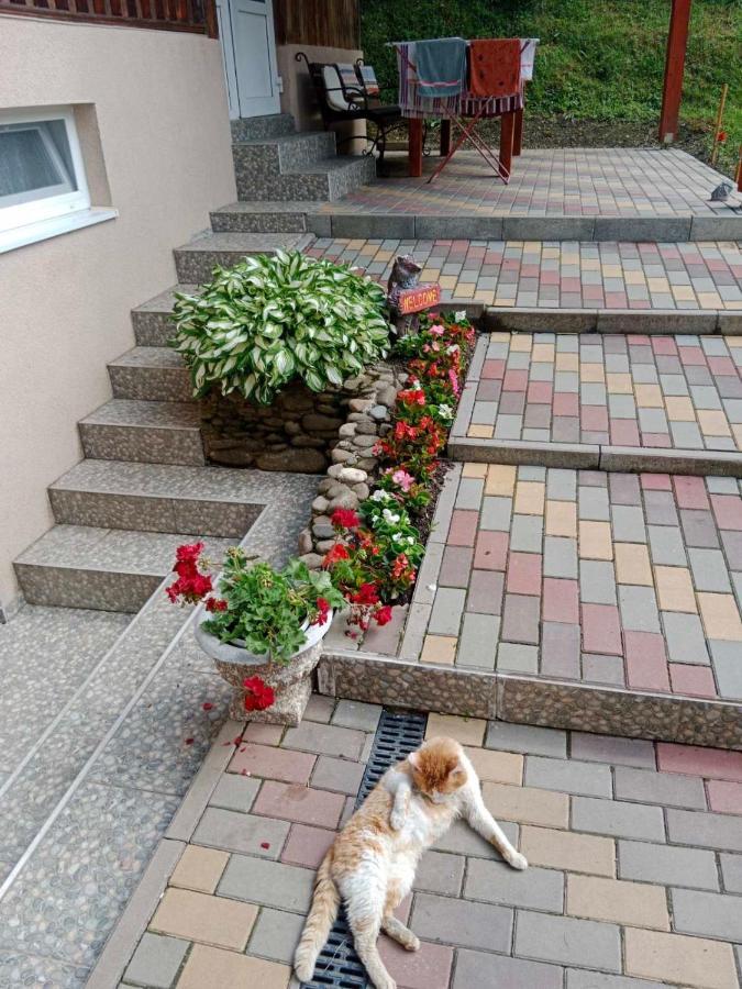Cottage house Podobovets Esterno foto